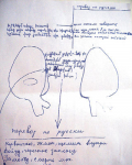 Նորության նկար