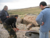 ՀԱՄԼԵՏ ՄԱՐՏԻՐՈՍՅԱՆ