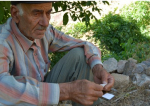Նորության նկար