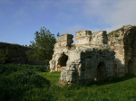 Նկար
