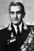 Կենսագրության նկար